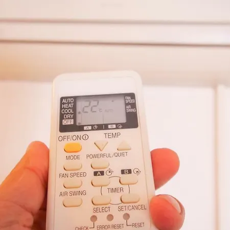 Bonheur 希尔蒂盖姆